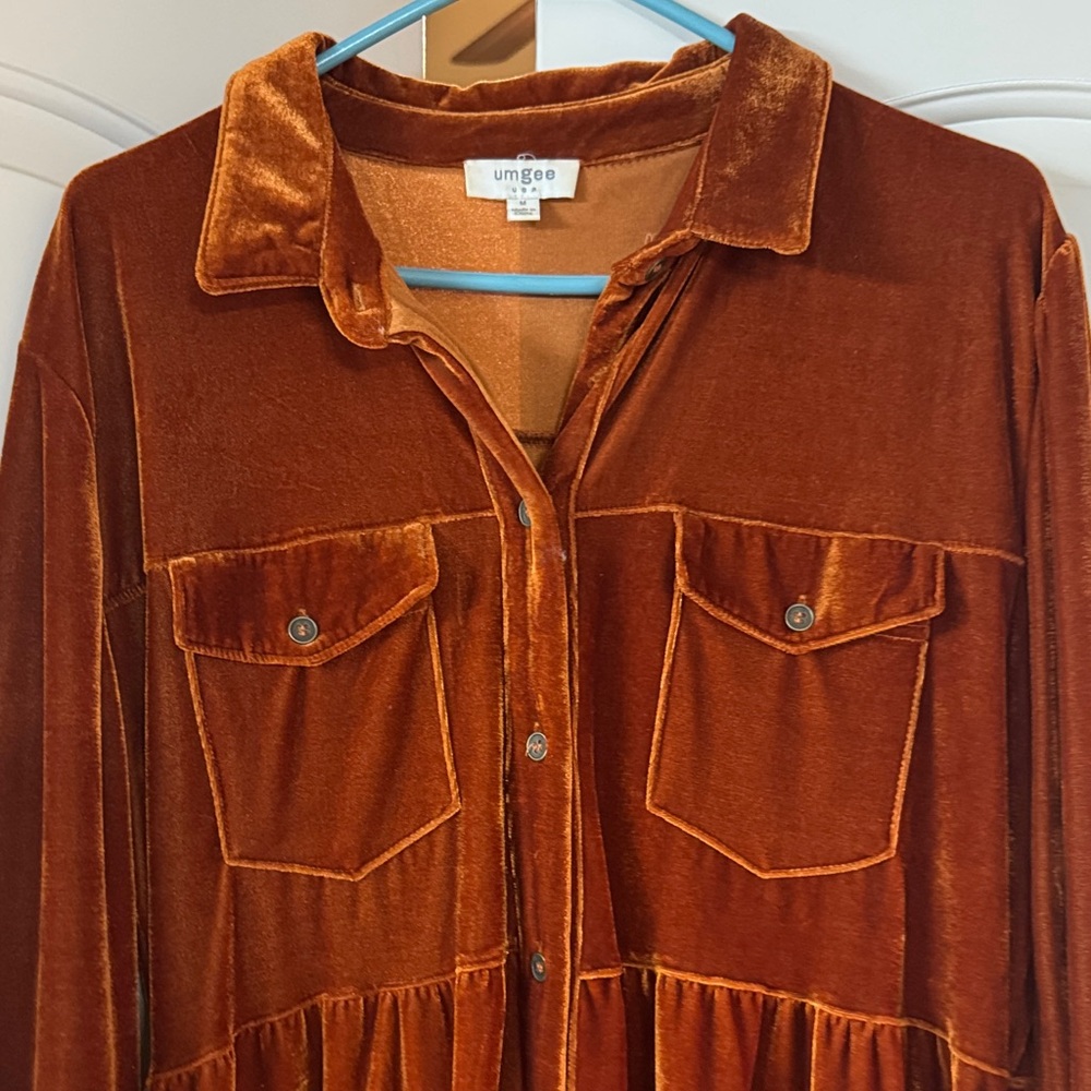 Umgee Burnt Orange Velvet dress - Picture 3 of 4